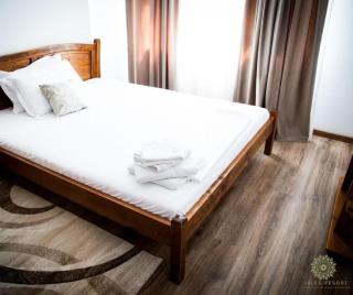 Jales Resort - Sânâteşti - 0