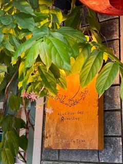 ký ức tươi đẹp homestay - Hue - 9