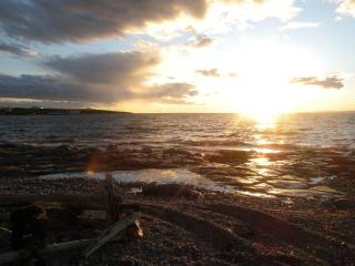 Wildberry Lodge - St. Anthony - 6