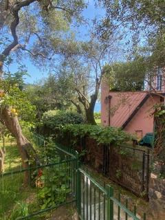 Tra il verde e l'azzurro - 8