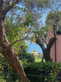 Tra il verde e l'azzurro - 4