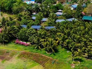 Đất Rồng Đinh Gia Trang - 4
