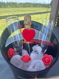 DE WEELEN met Jacuzzi en of Zwembad Topkeuze Romantiek - 3