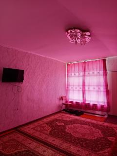 Guest house grizzly - Dzhergalan - 6