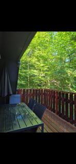 Bois d' Azur - Durbuy - 0