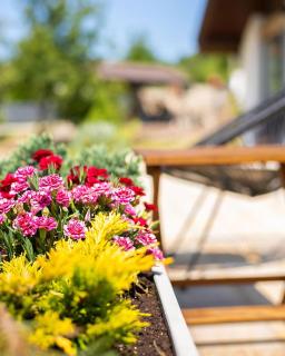 Котедж Шпаківня - 3