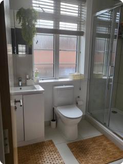 Quiet room, town center - Newbury - 4