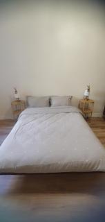 Large, new apartment in the historic centre - 3