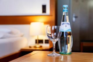 Hotel & Restaurant Waldshuter Hof - Waldshut-Tiengen - 9