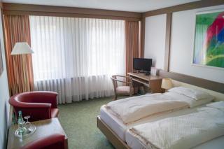 Hotel & Restaurant Waldshuter Hof - Waldshut-Tiengen - 6