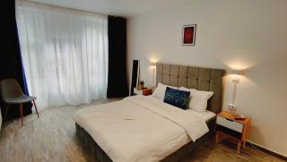 Baroc Boutique Hotel - Topliţa - 1