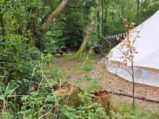 Bovey Heath Retreat - Bovey Tracey - 4