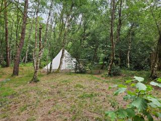 Bovey Heath Retreat - Bovey Tracey - 3