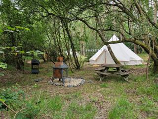 Bovey Heath Retreat - Bovey Tracey - 5