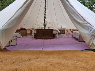 Bovey Heath Retreat - Bovey Tracey - 9