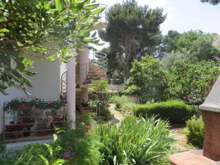 Gardenia Apartments - Pakoštane - 9