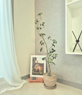 Eumm stay - Cheongju - 6