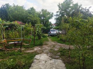 9 Plus - Orbeli - 1