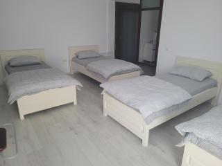Vila Vati - Arena Pitesti - 7