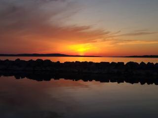 Luxury RV on 10 Private Acres Bring your pup - 5