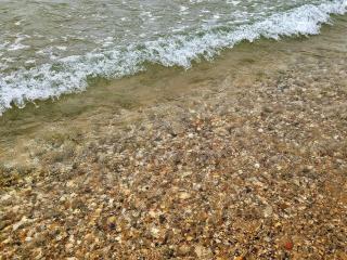 Luxury RV on 10 Private Acres Bring your pup - 3