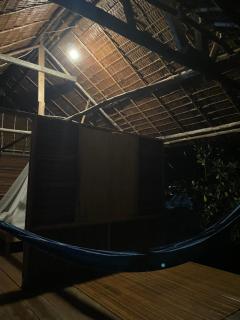 Walking Shark Guest House - 4