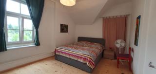 Victorias Apartment - Graz - 3