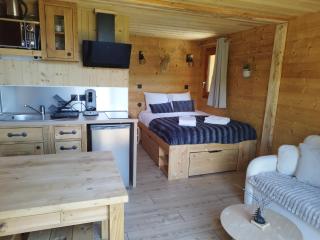Ma Cabane des Hautes-Alpes - Saint-Julien-en-Champsaur - 5