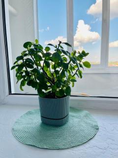 Дво і одно кімнатні апартаменти новобуд рн авторинку трц Адреналін сіті - Loutsk - 9