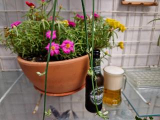 Apartamento Acequia Aljada - 8