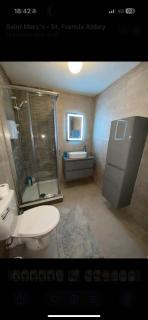 2 bedroom apartment limerick - Limerick - 1