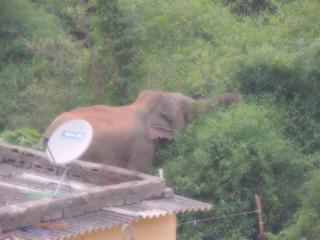 Sublime Homestay - Bhubaneshwar - 9