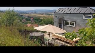 Tiny House Cluj with Jacuzzi - Sînnicoară - 7