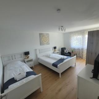 FeWo Anna nähe Schwetzingen-Hockenheim 3 Zimmer mit Balkon - Oftersheim - 2