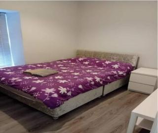 3 double bed house city center - Limerick - 1