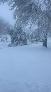 Golden Acre Farm - Mansfield - 4
