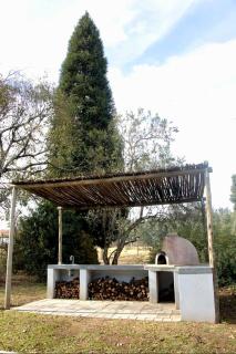Golden Acre Farm - Mansfield - 2