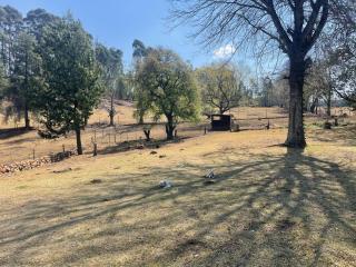 Golden Acre Farm - Mansfield - 1