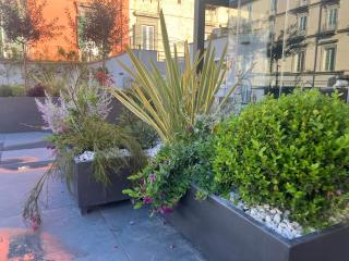 Terrazza Carbonara B&B - 0