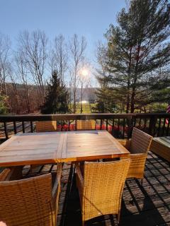 Riverfront cabin with hot tub, kayaks, dock, dog ok - 6