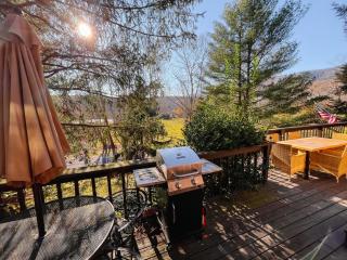 Riverfront cabin with hot tub, kayaks, dock, dog ok - 1