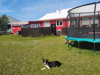 LAVA Studio Keflavik - Keflavík - 9