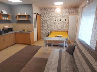 Samodzielny domek Studio - 35m2 centrum Ciechanów - Ciechanów - 8