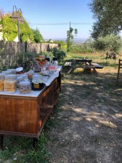 Bàcula Nzícula Marzamemi - Marzamemi - 7