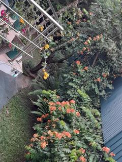 Hillstream Home Stay - Kandy - 8