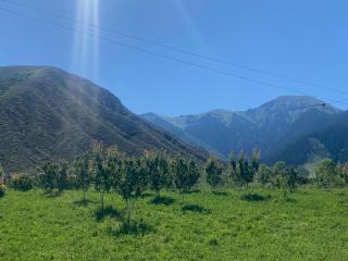 BARS hotel - Barskoon - 7