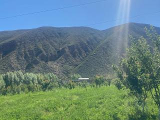 Taldy-Bulak Guest House - Barskoon - 6