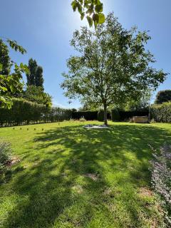 't Urbain - Vakantiewoning - Oudenaarde - 9