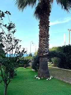 L'oblo' sul mare Sorrento Coast - Vico Equense - 6