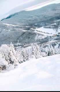 Sunny 2 Bdrm - Mtn Views, Close to Everything! - Stowe - 8